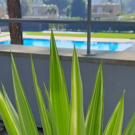Barca House - Nature - Golf - Pool & Beach Esposende Zewnętrze zdjęcie